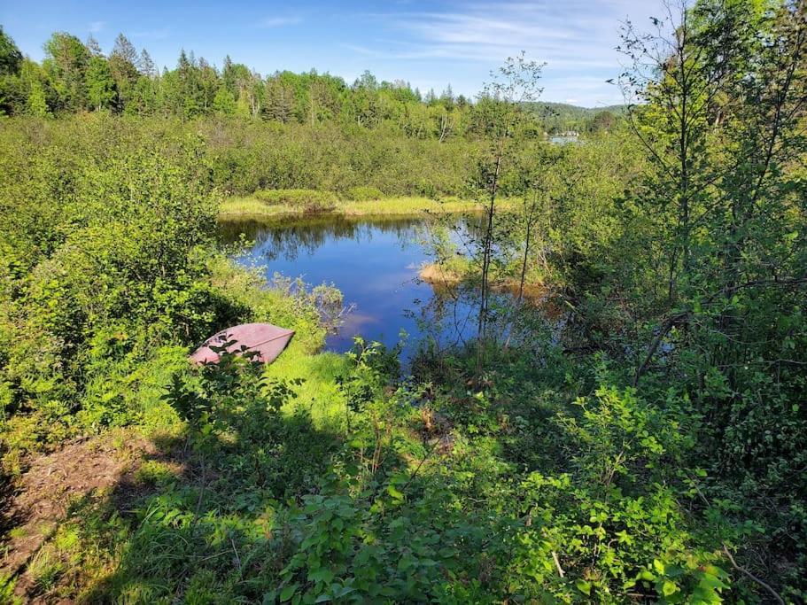 Chalets Nabu La Sacacomie - Riviere - Billard Сент-Алексис-де-Мон Экстерьер фото