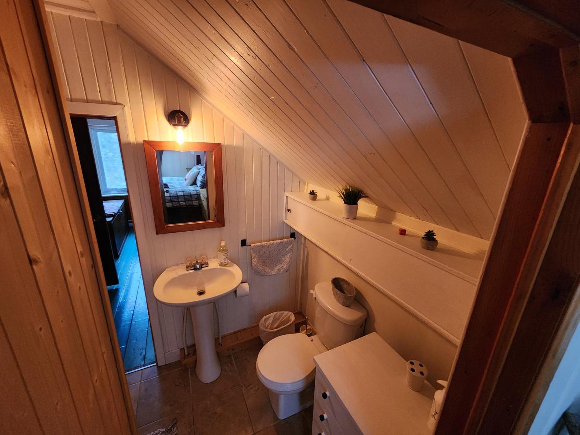 Chalets Nabu La Sacacomie - Riviere - Billard Сент-Алексис-де-Мон Экстерьер фото