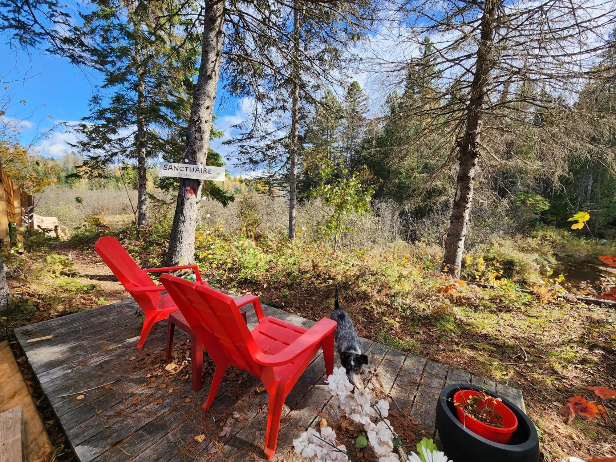 Chalets Nabu La Sacacomie - Riviere - Billard Сент-Алексис-де-Мон Экстерьер фото